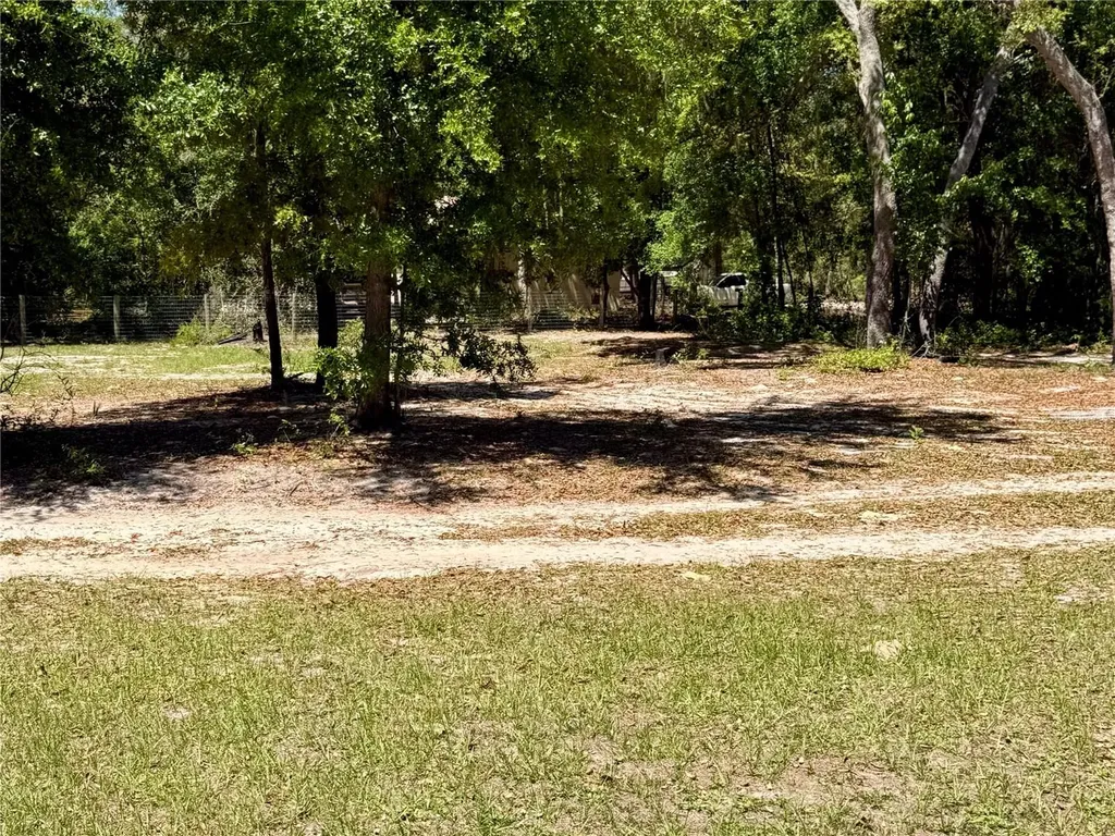 9711 SE Highway 464c Ocklawaha FL 32179