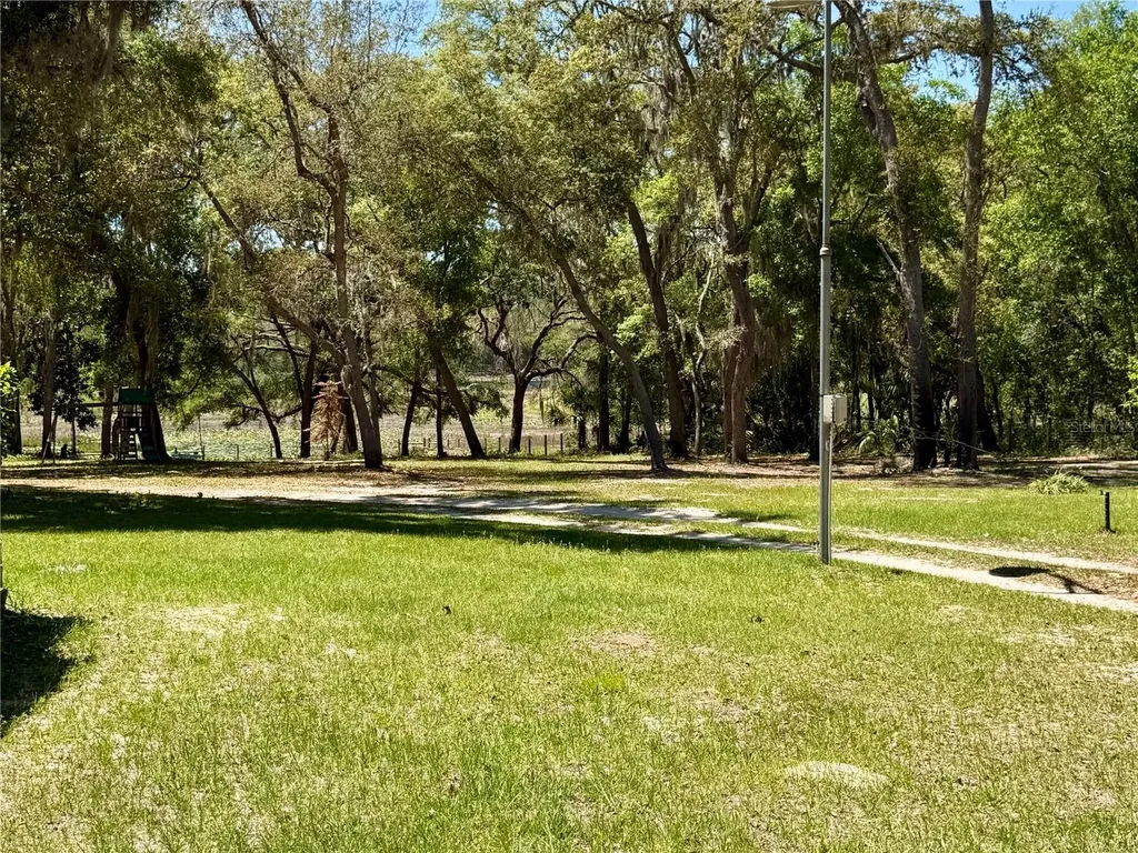 9711 SE Highway 464c Ocklawaha FL 32179