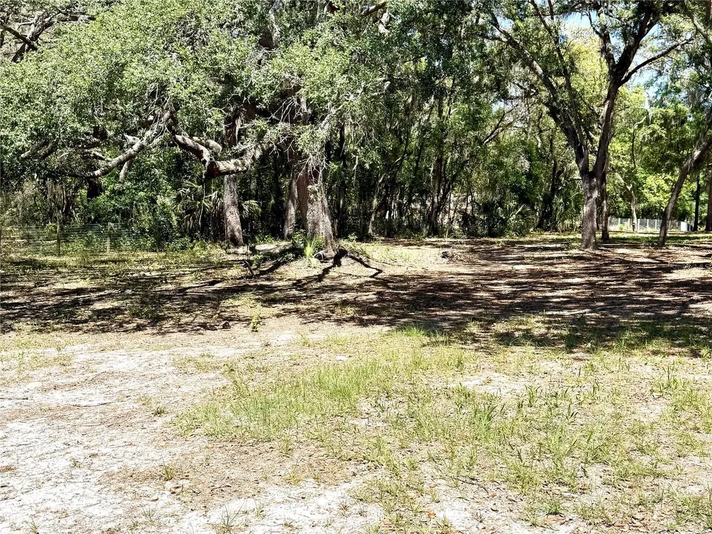 9711 SE Highway 464c Ocklawaha FL 32179