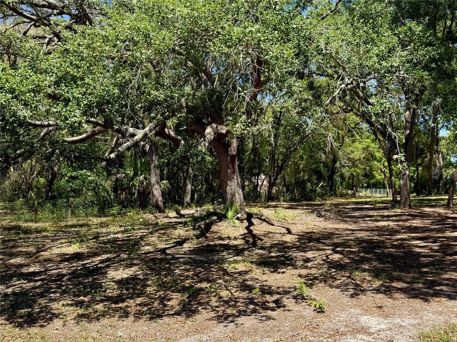 9711 SE Highway 464c Ocklawaha FL 32179