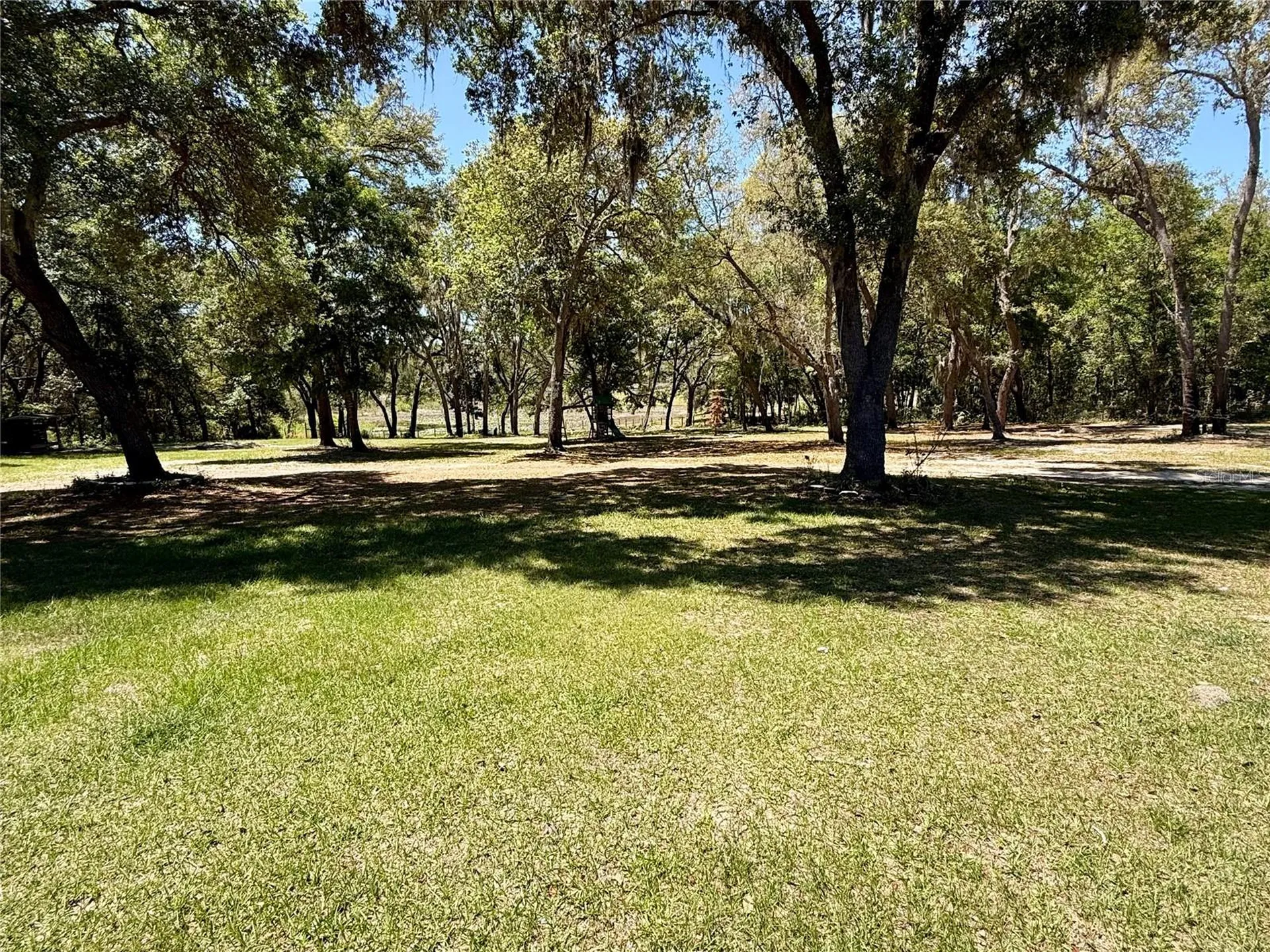 9711 SE Highway 464c Ocklawaha FL 32179