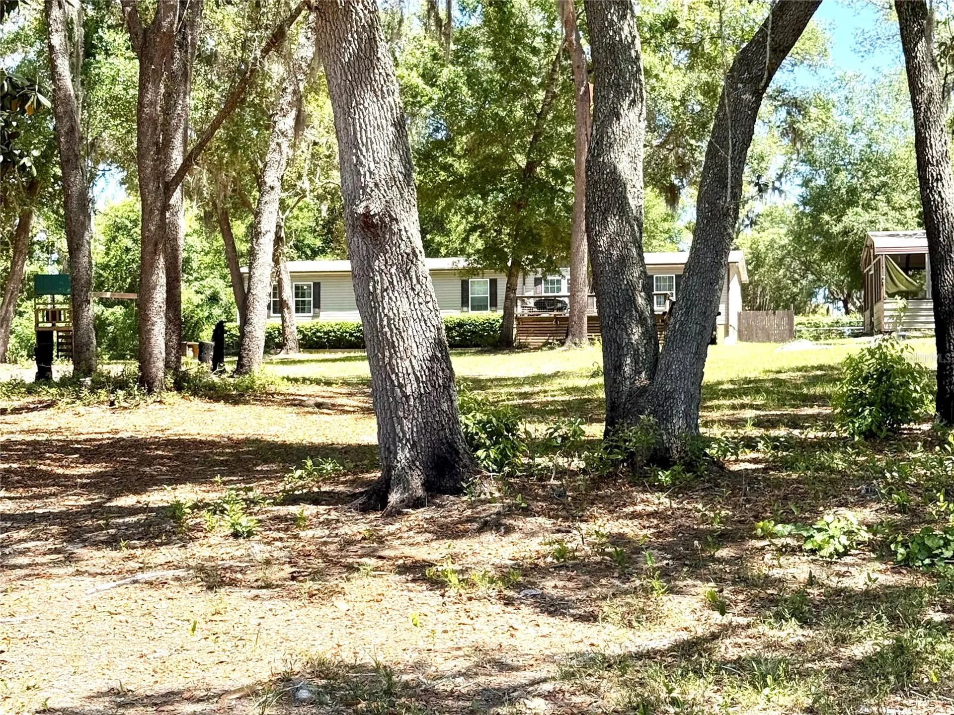 9711 SE Highway 464c Ocklawaha FL 32179