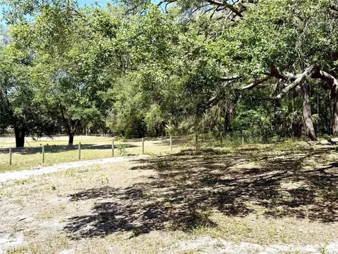 9711 SE Highway 464c Ocklawaha FL 32179