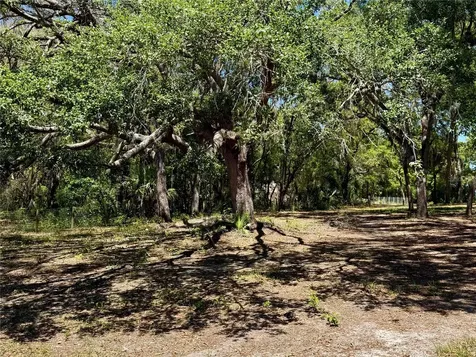 9711 SE Highway 464c Ocklawaha FL 32179
