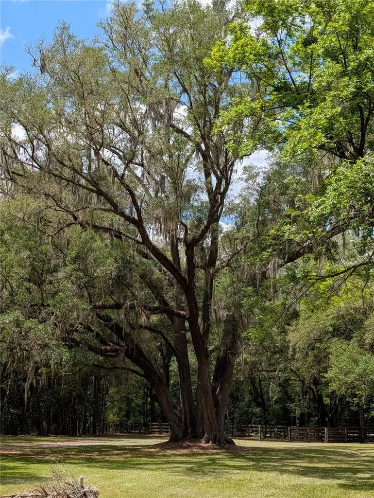 6407 NW County Road 235 Alachua FL 32615