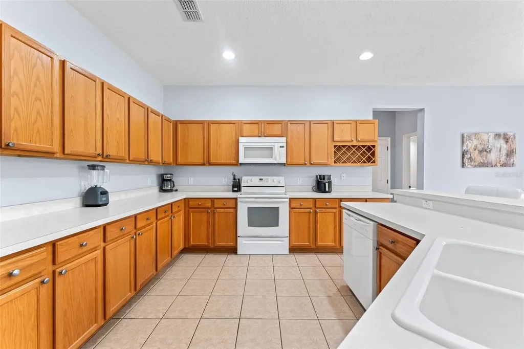 213 Willow View Drive Davenport FL 33896