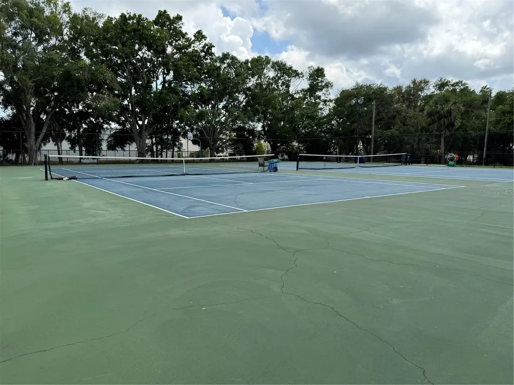 4201 La Dega Court Tampa FL 33611