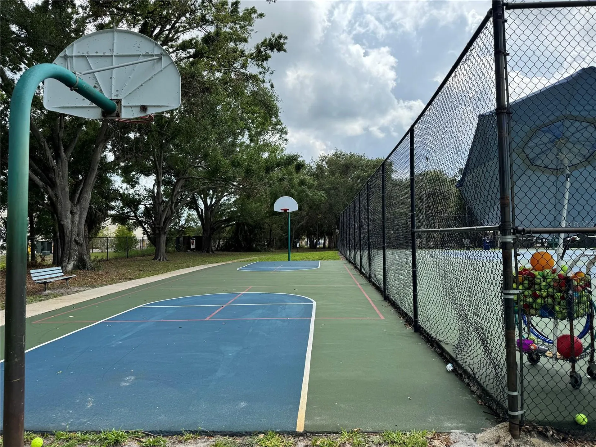 4201 La Dega Court Tampa FL 33611