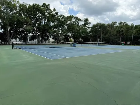 4201 La Dega Court Tampa FL 33611
