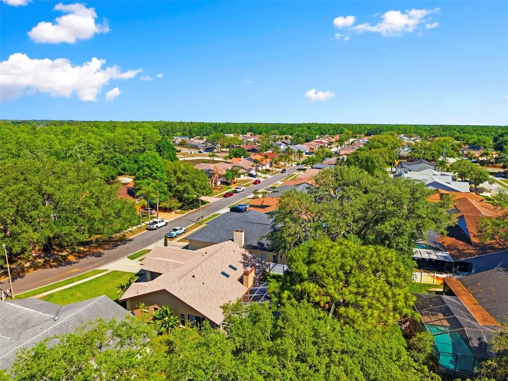 5226 Saltamonte Drive New Port Richey FL 34655