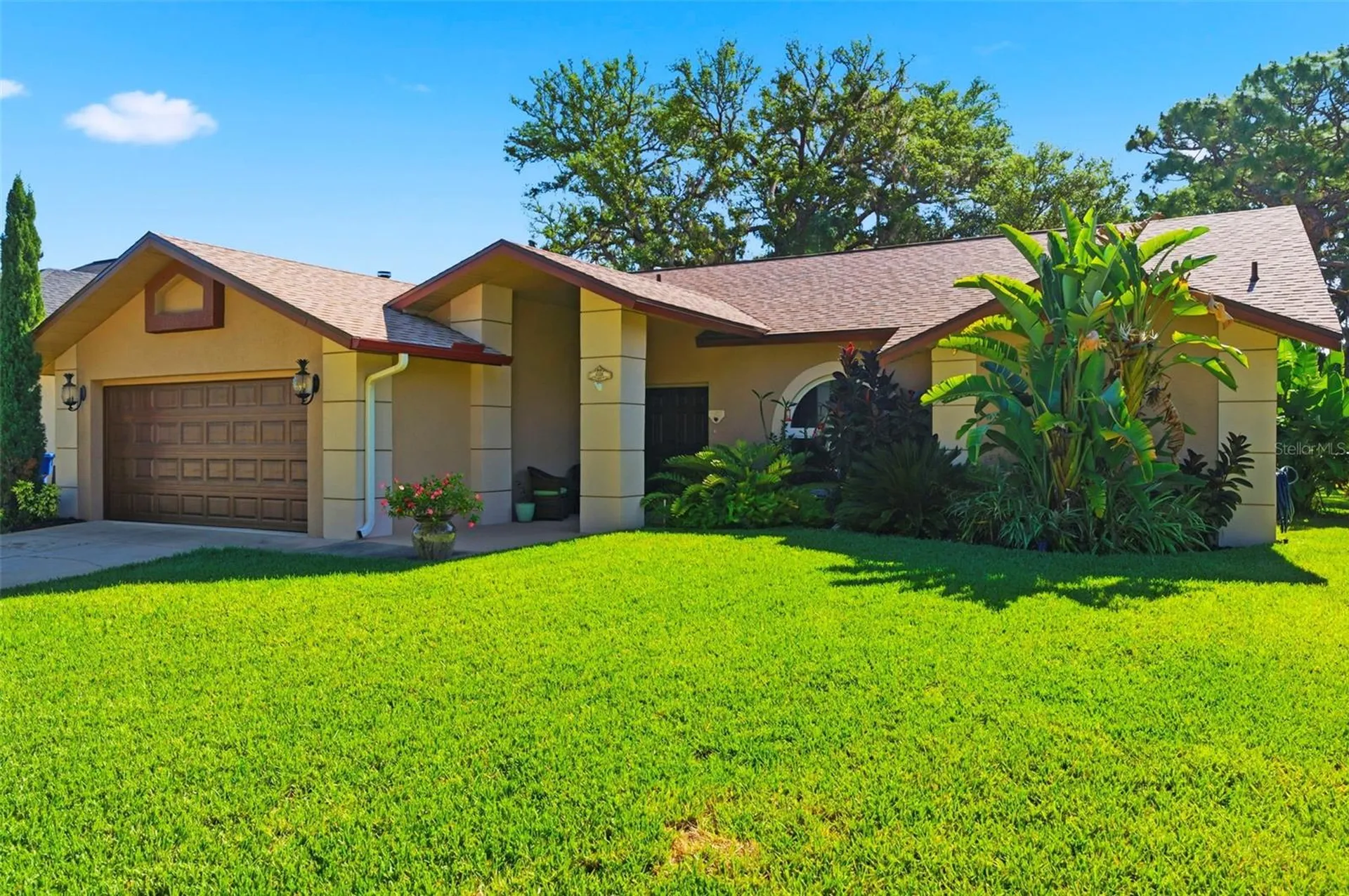 5226 Saltamonte Drive New Port Richey FL 34655