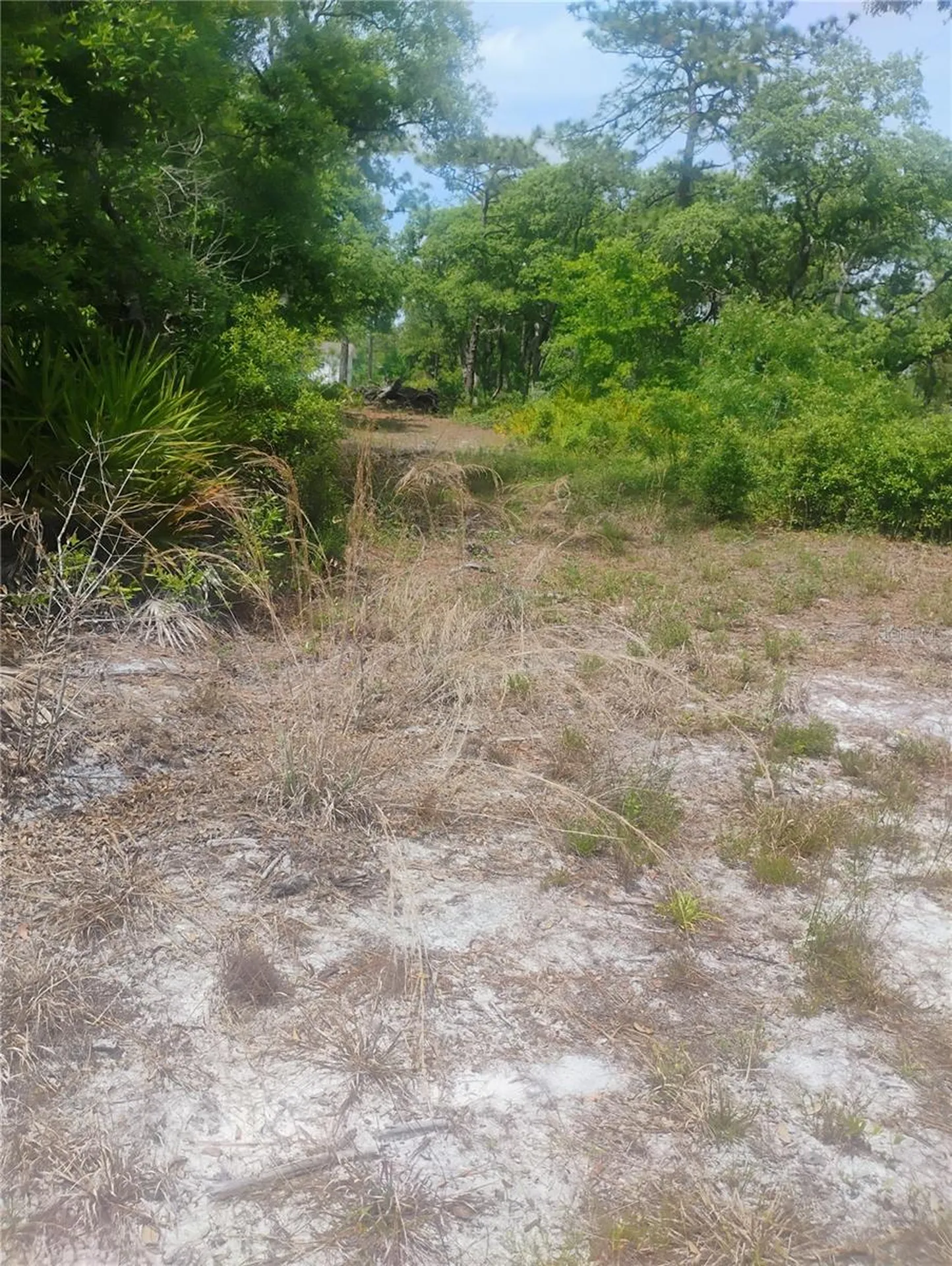 Brookside Circle Mount Dora FL 32757