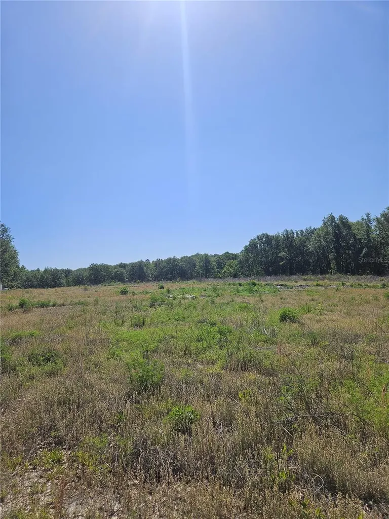 000 SW Mixson Road Lake City FL 32024