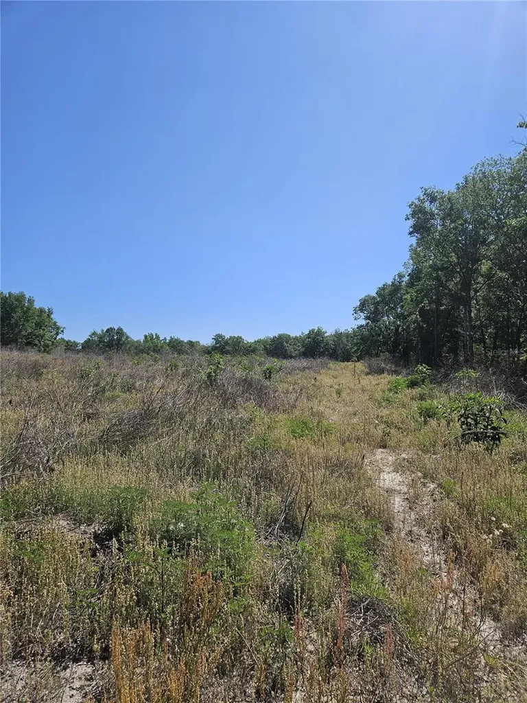 000 SW Mixson Road Lake City FL 32024