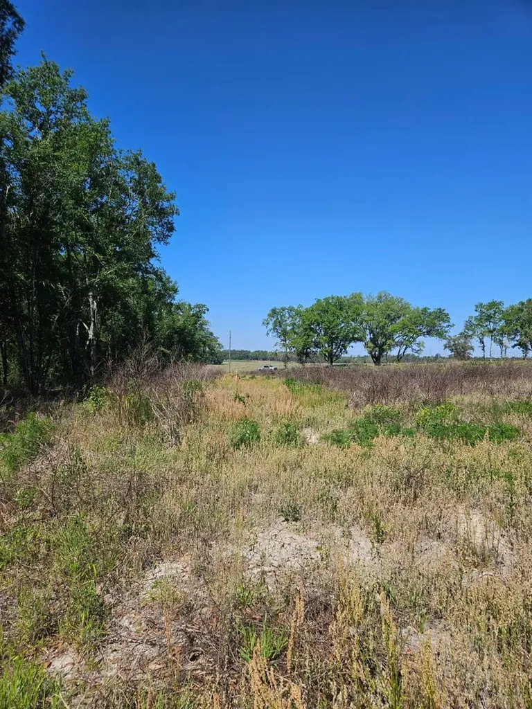 000 SW Mixson Road Lake City FL 32024