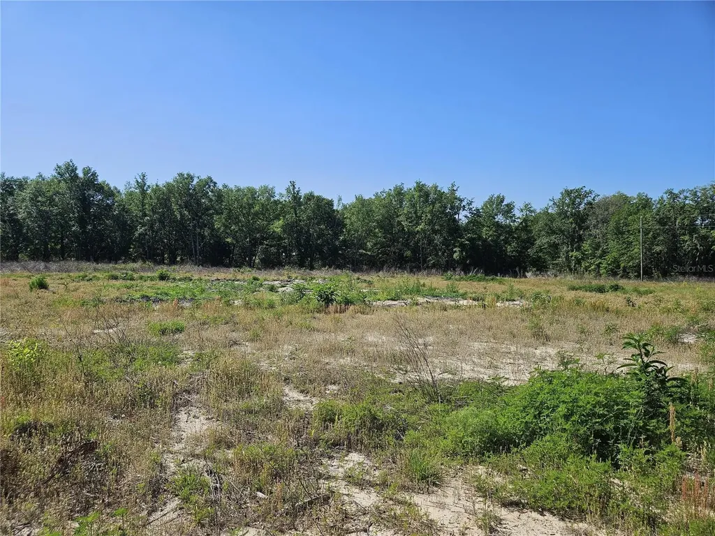 000 SW Mixson Road Lake City FL 32024