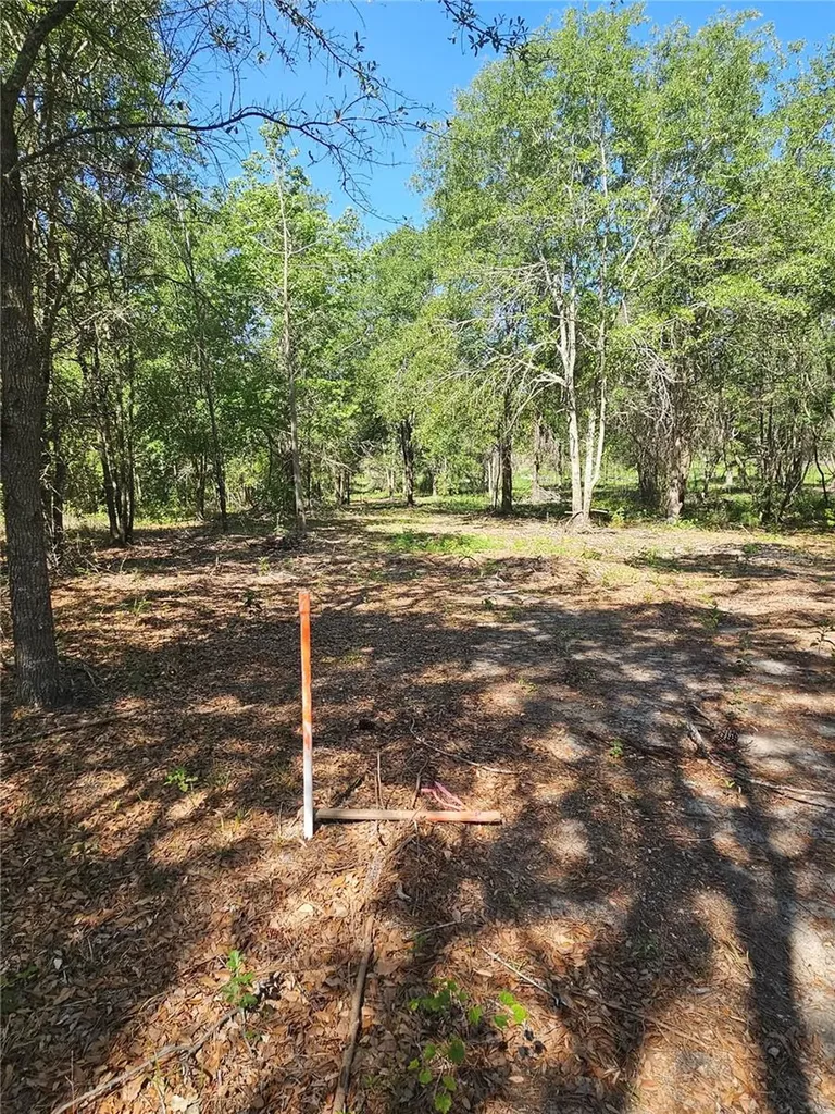 000 SW Mixson Road Lake City FL 32024