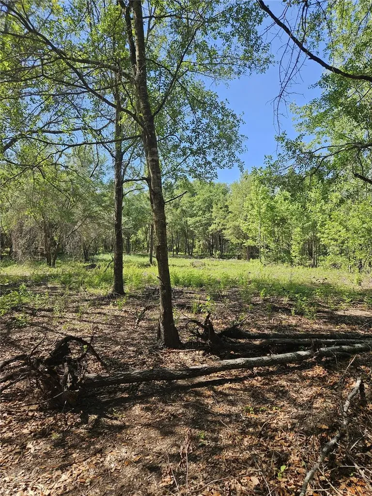 000 SW Mixson Road Lake City FL 32024