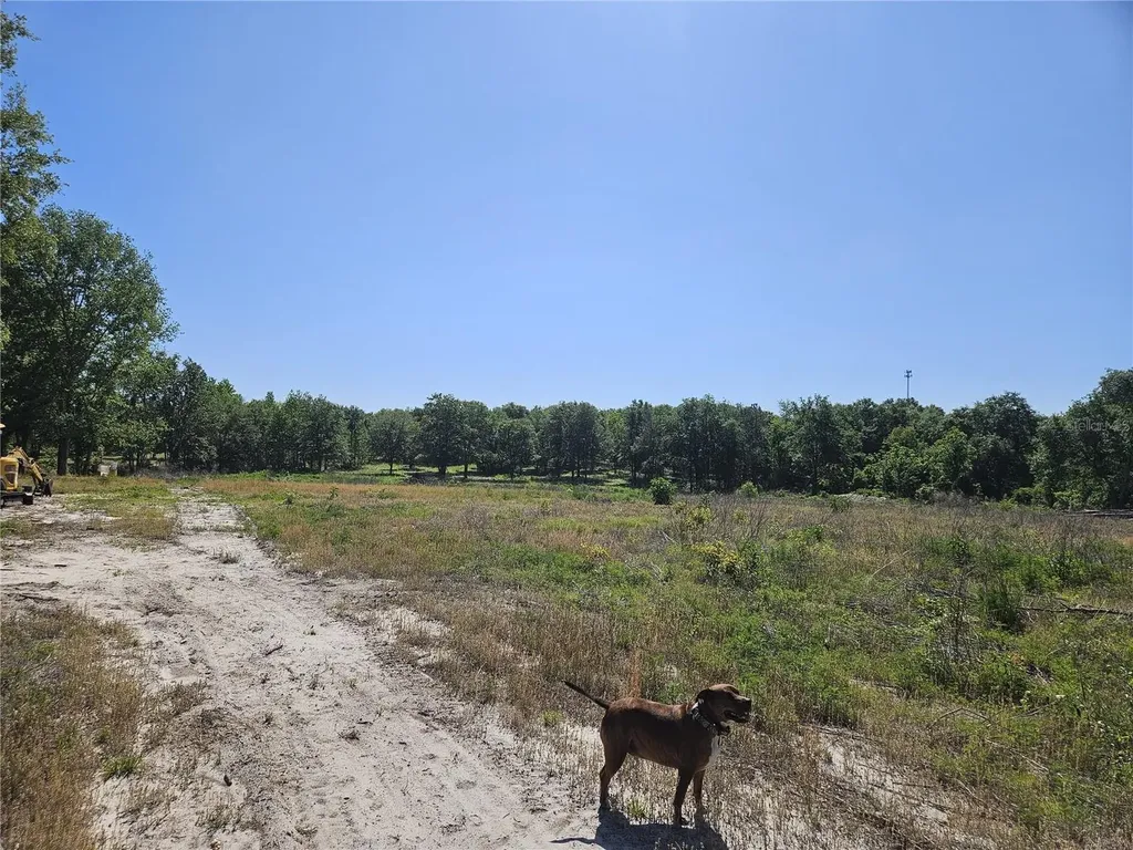 000 SW Mixson Road Lake City FL 32024
