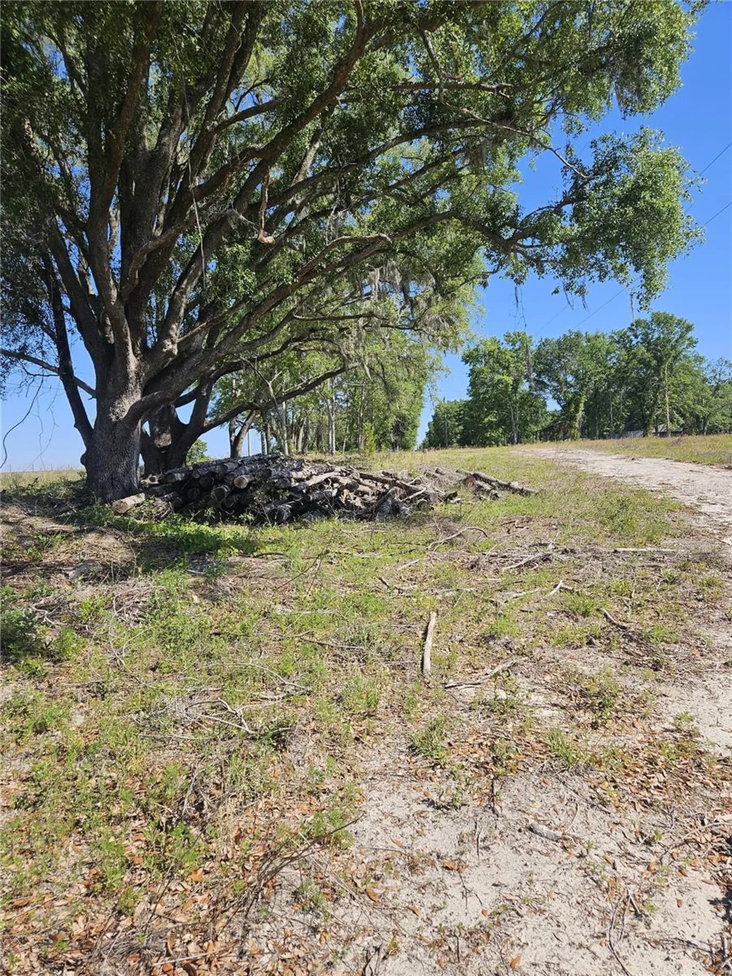 000 SW Mixson Road Lake City FL 32024
