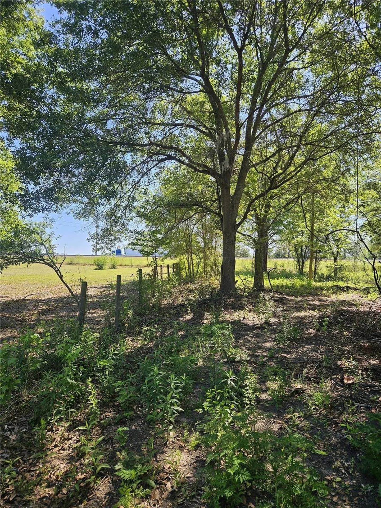 000 SW Mixson Road Lake City FL 32024