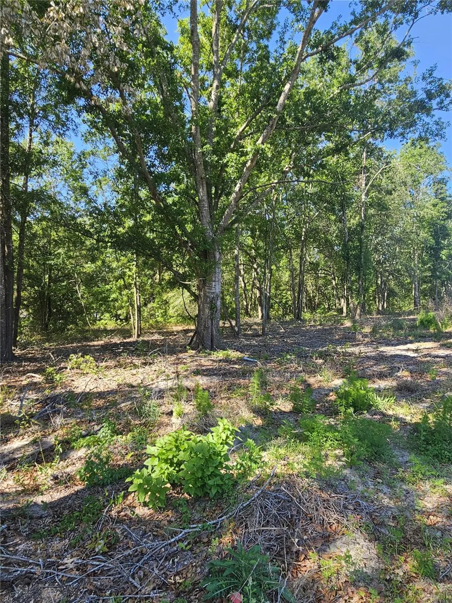 000 SW Mixson Road Lake City FL 32024