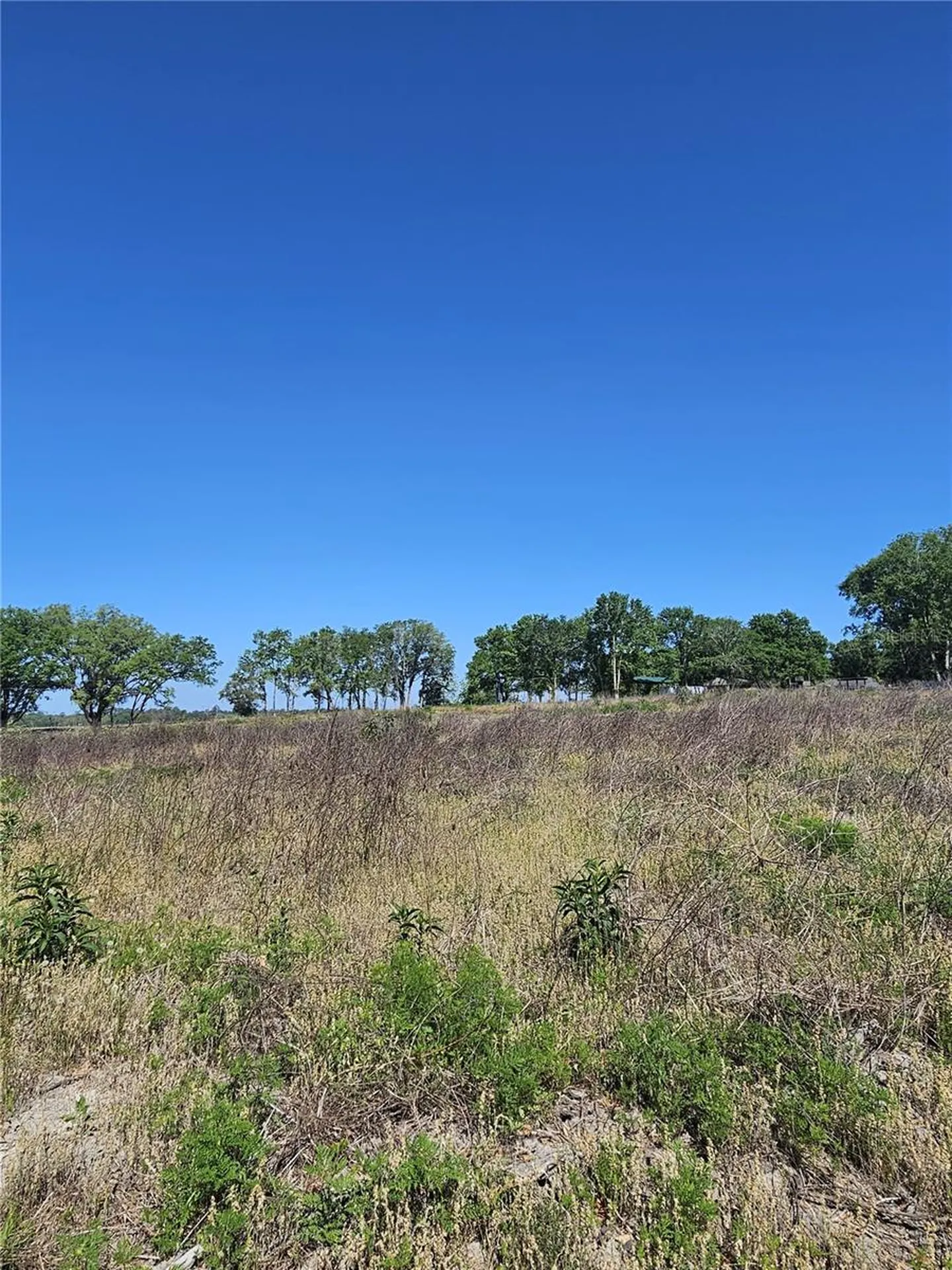 000 SW Mixson Road Lake City FL 32024