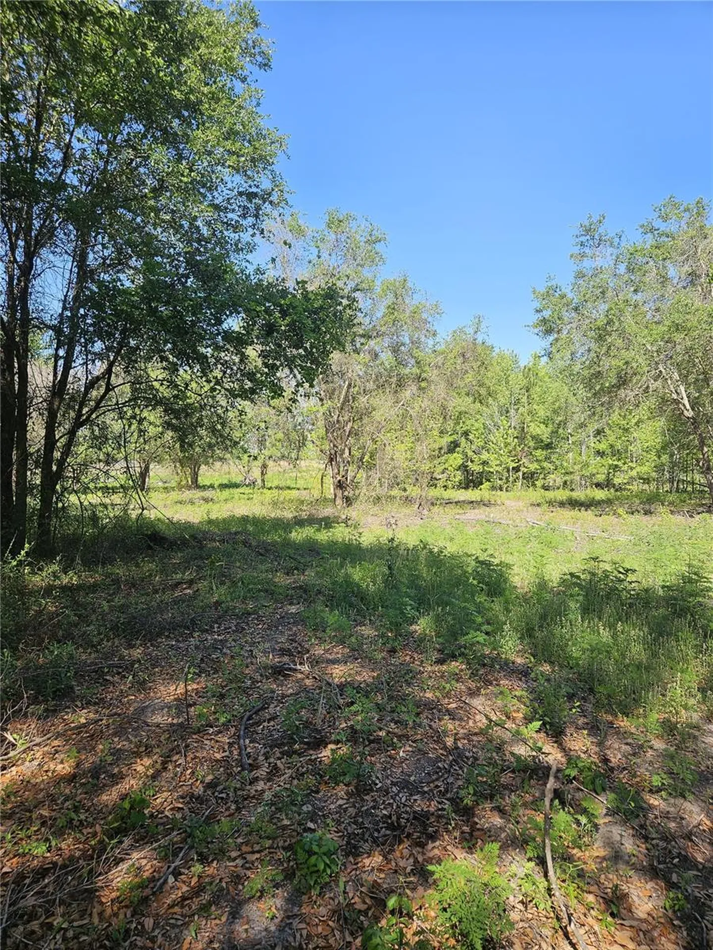 000 SW Mixson Road Lake City FL 32024
