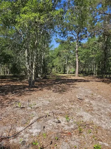 000 SW Mixson Road Lake City FL 32024
