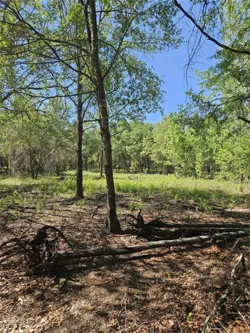 000 SW Mixson Road Lake City FL 32024