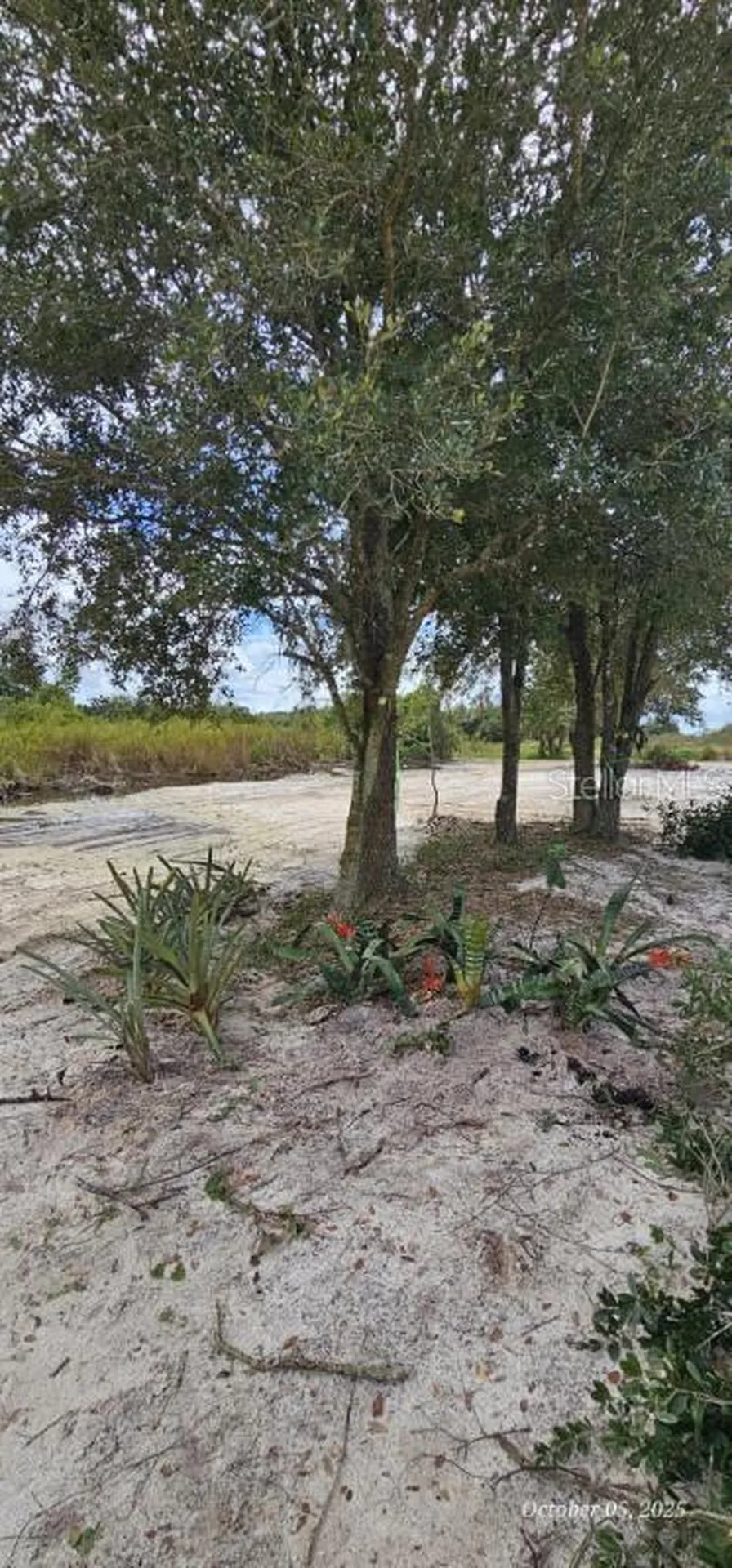 18398 NW 286th Street Okeechobee FL 34972