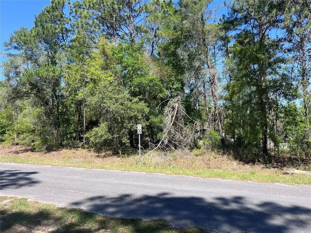 8000 N Pocono Drive Citrus Springs FL 34434