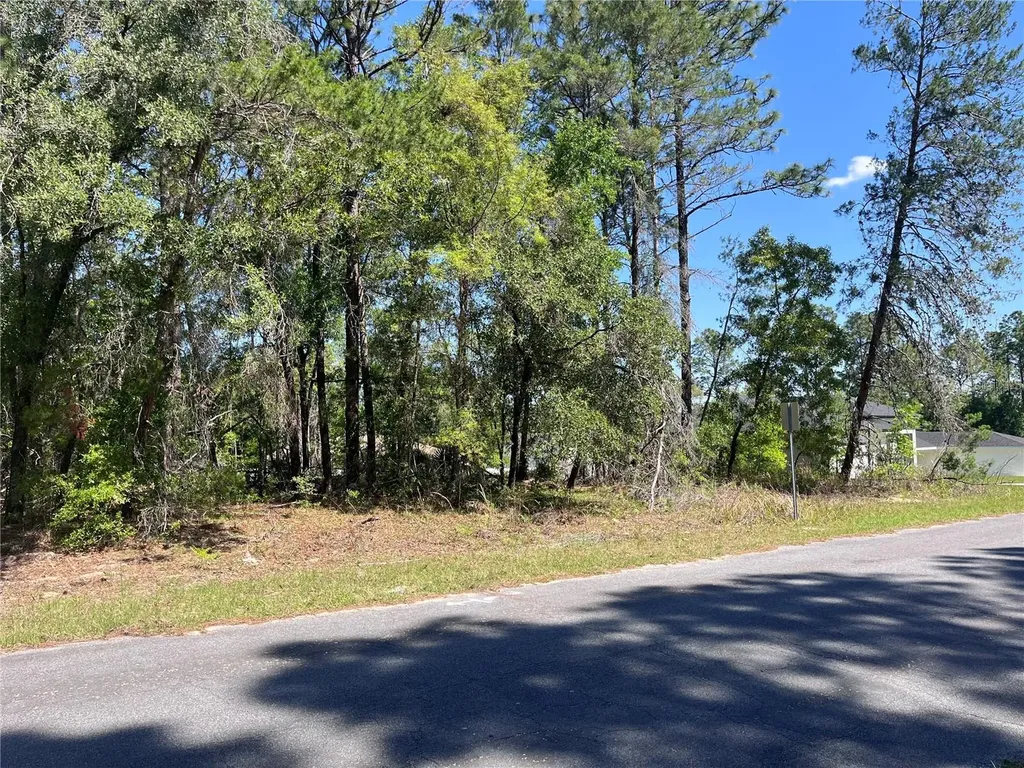 8000 N Pocono Drive Citrus Springs FL 34434