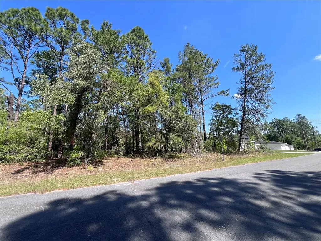 8000 N Pocono Drive Citrus Springs FL 34434