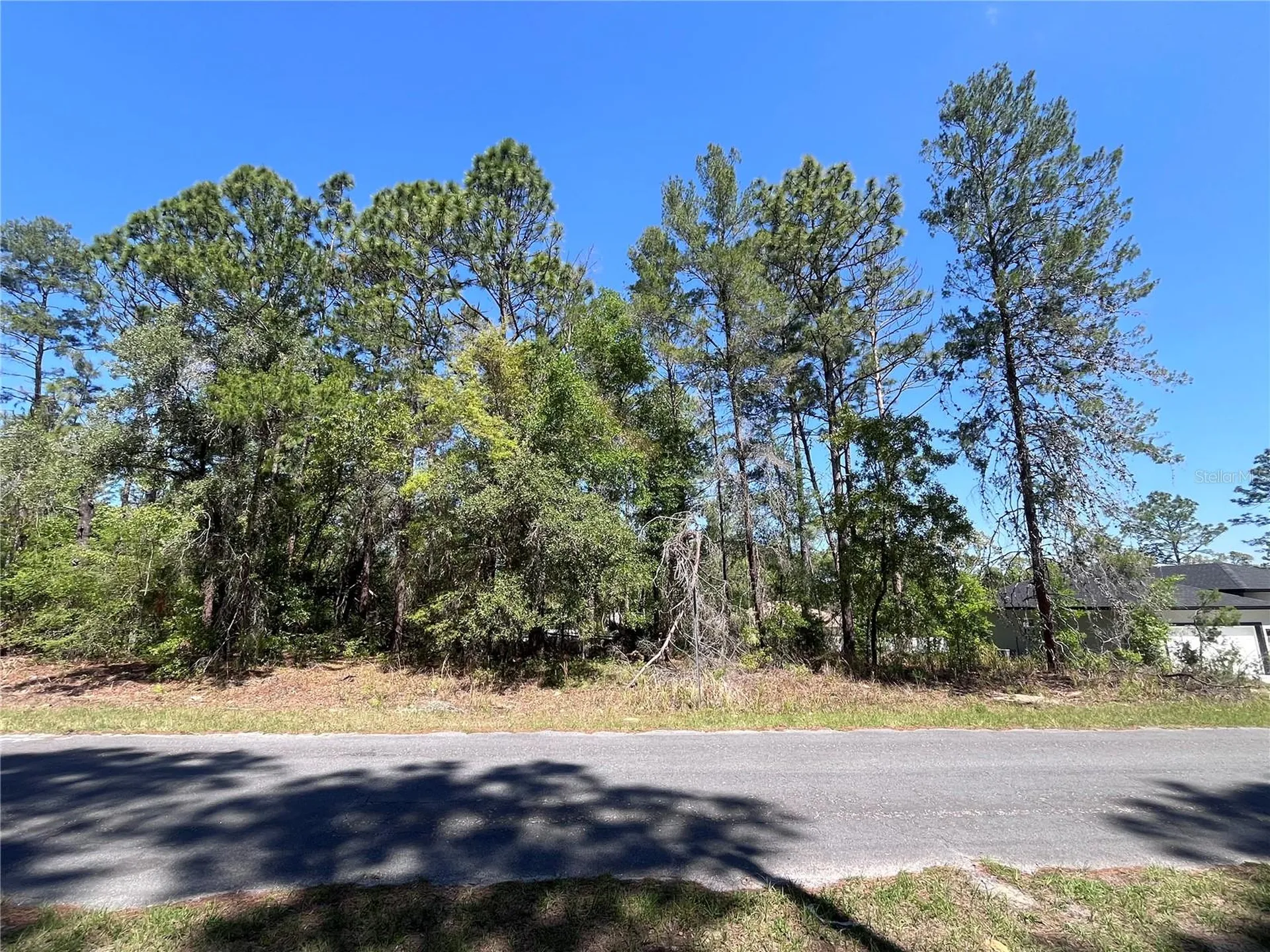 8000 N Pocono Drive Citrus Springs FL 34434