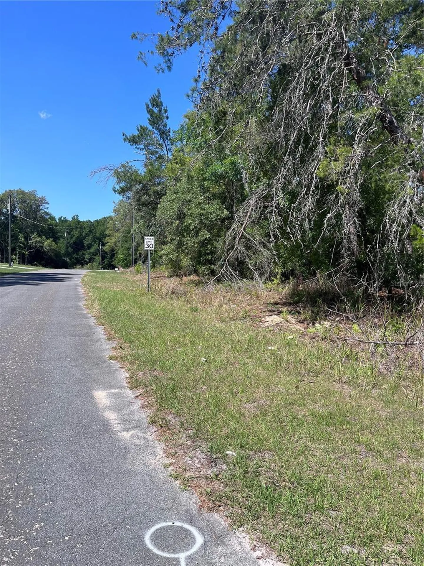 8000 N Pocono Drive Citrus Springs FL 34434