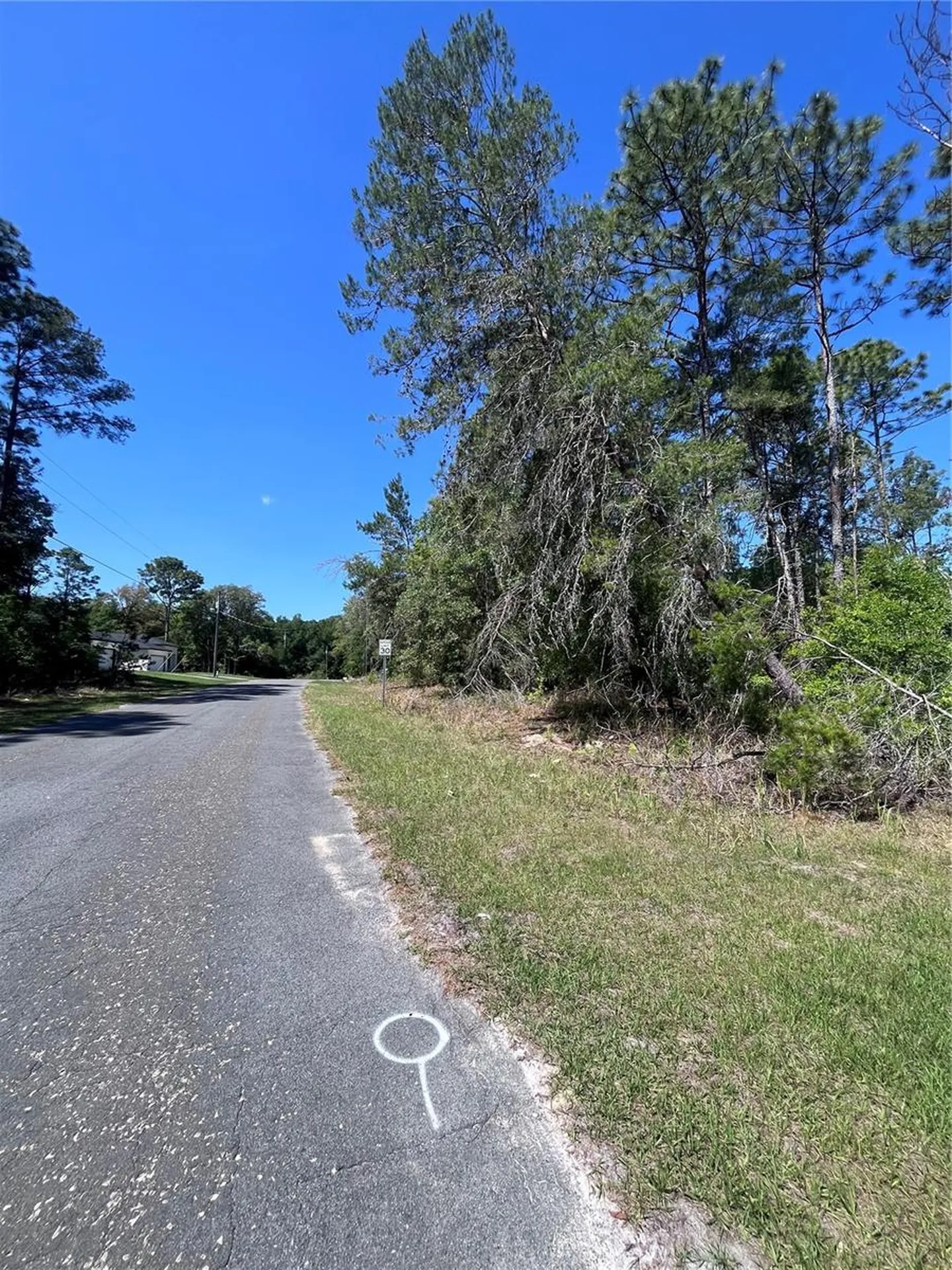 8000 N Pocono Drive Citrus Springs FL 34434