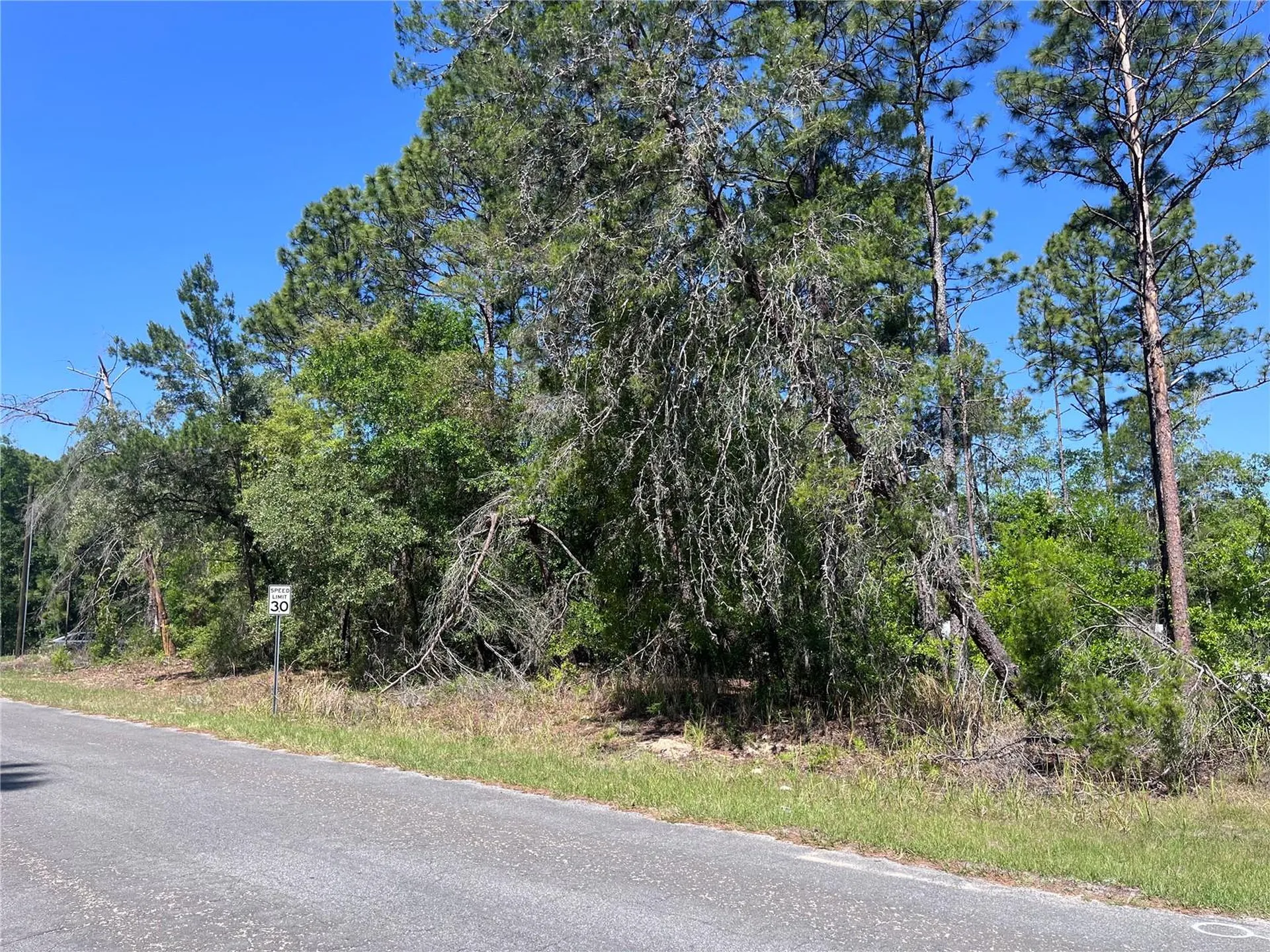 8000 N Pocono Drive Citrus Springs FL 34434
