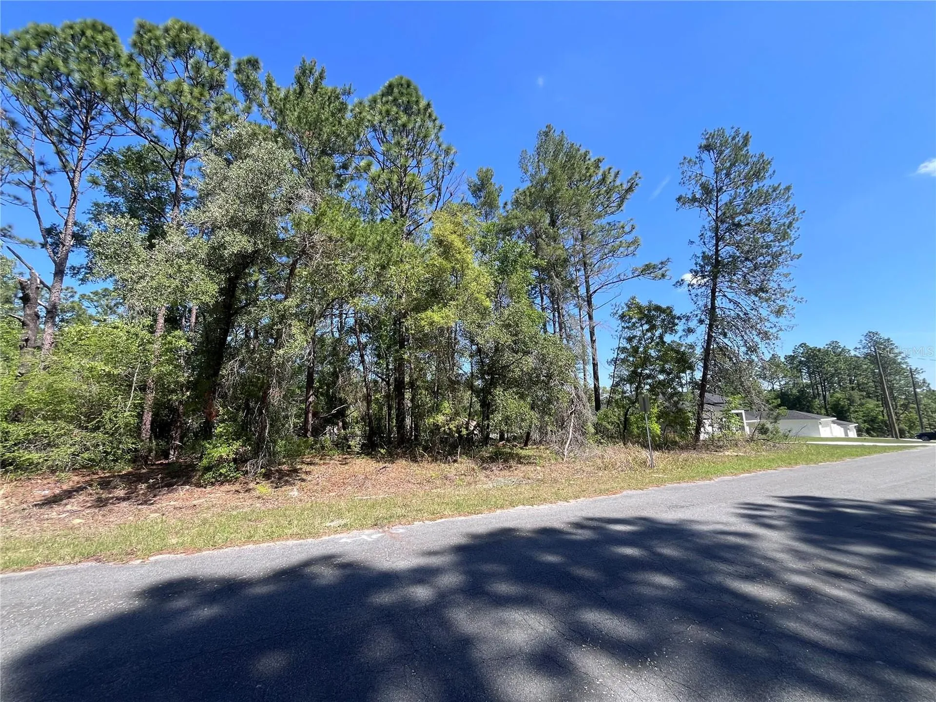 8000 N Pocono Drive Citrus Springs FL 34434
