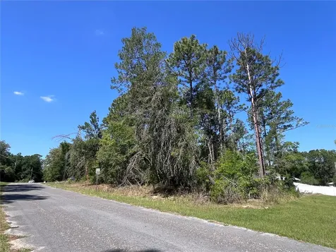 8000 N Pocono Drive Citrus Springs FL 34434