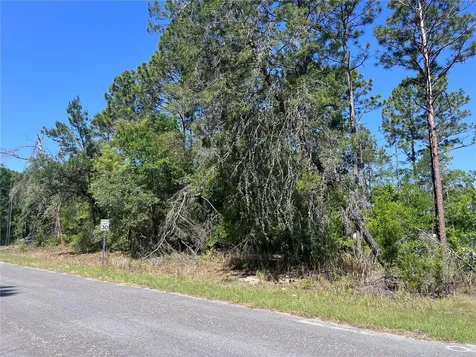 8000 N Pocono Drive Citrus Springs FL 34434
