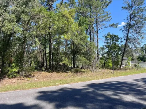 8000 N Pocono Drive Citrus Springs FL 34434