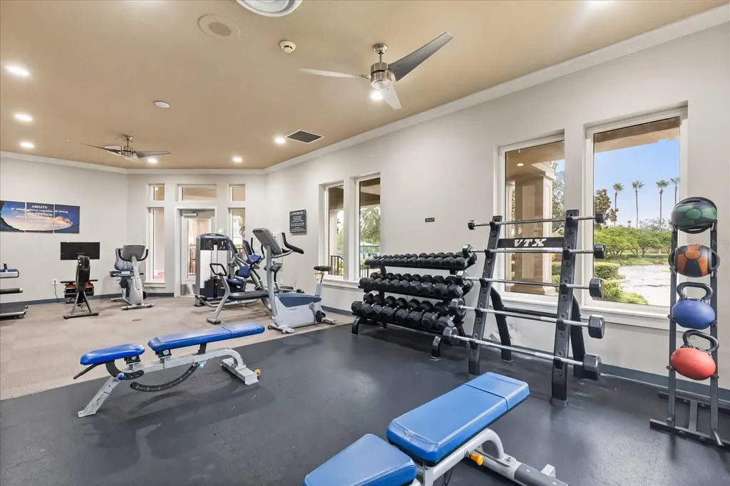 19027 Dove Creek Drive Tampa FL 33647
