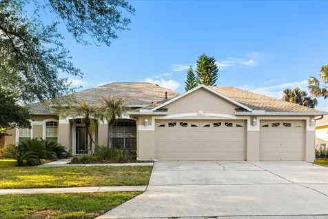19027 Dove Creek Drive Tampa FL 33647