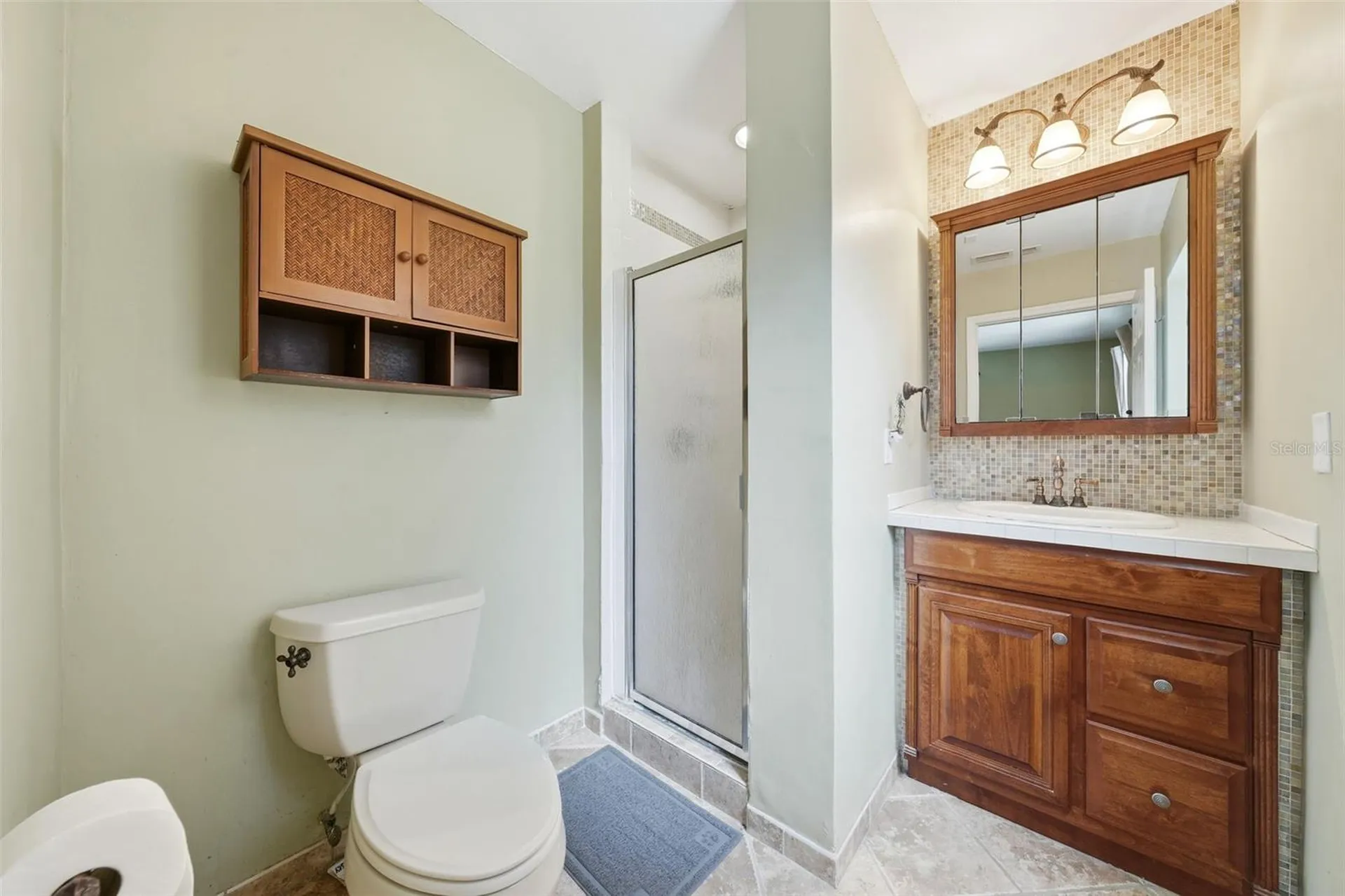 3996 Lake Eleanor Drive Mount Dora FL 32757
