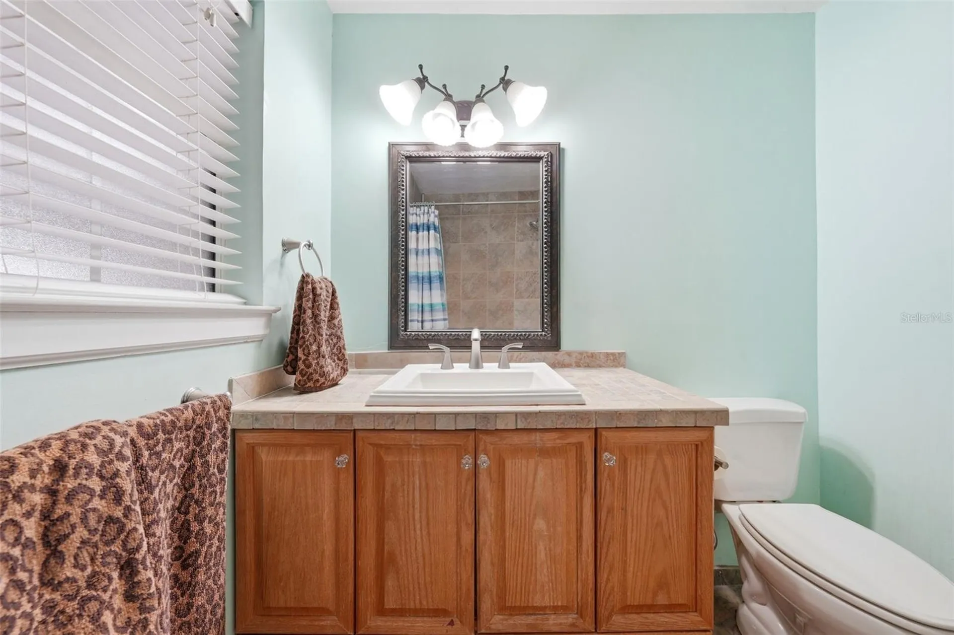 3996 Lake Eleanor Drive Mount Dora FL 32757