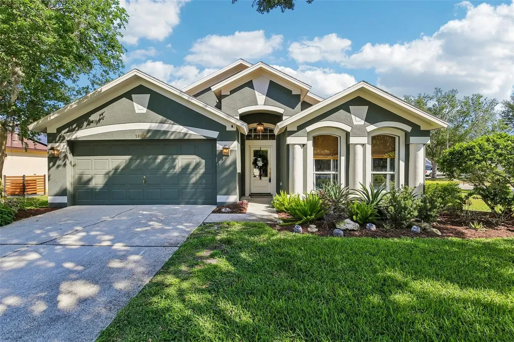 19918 Ellendale Drive Land O Lakes FL 34638