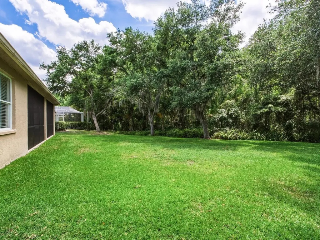 18220 Stillwell Lane Tampa FL 33647