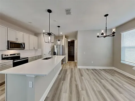 14384 Braemar Street Winter Garden FL 34787