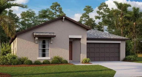 6765 Emerald Spring Loop New Port Richey FL 34653